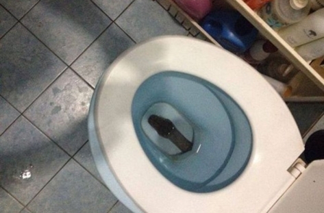 Внимавайте като сядате на тоалетната чиния